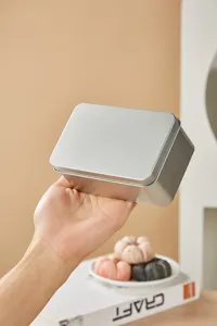 Nahaufnahme einer silbernen Metalldose mit Klappdeckel und feiner Textur für die Lagerung.