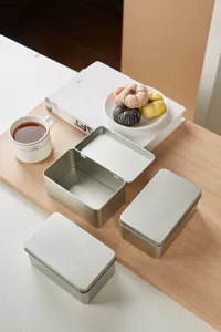 Silberne rechteckige Metall-Dose Detailaufnahme, ideal für Snacks und Kleinteile.
