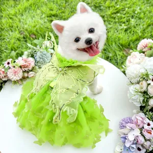 Green pet dog princess dress lace butterfly tutu skirt lovely summer wedding puppy apparel details