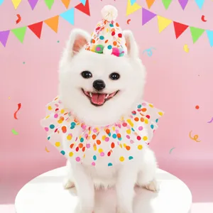 Cute polka dot pet birthday hat and ruffle bib set detail view, perfect for dogs and cats party.