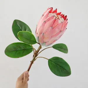 Detailweergave van kunstmatige Koningsprotea bloem roze, mooie tropische decoratie tak.