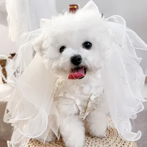 Voile de mariage et ensemble de costume pour animal de compagnie, design en dentelle blanche.