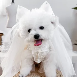 Joli voile de mariée pour animal de compagnie chien chat ensemble de robe nœud papillon blanc.