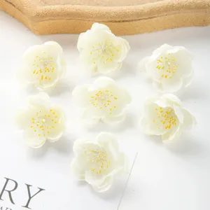 Mini fleurs de prunier artificielles blanches pour accessoires DIY et décoration détail.