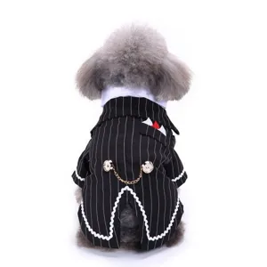 Cane animale domestico vestito smoking gessato formale matrimonio abito bello gentiluomo