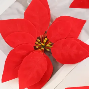 Close-up view of red velvet Christmas poinsettia flower head with yellow vibrant stamens.