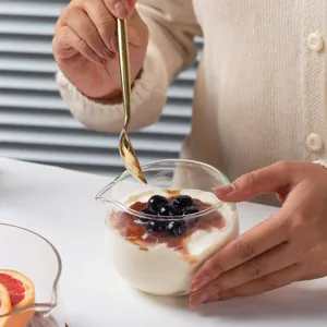 Bol verseur en verre borosilicaté transparent résistant à la chaleur dessert et sauce
