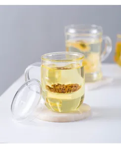 High borosilicate glass tea cup with infuser, clear minimalist design for office use.