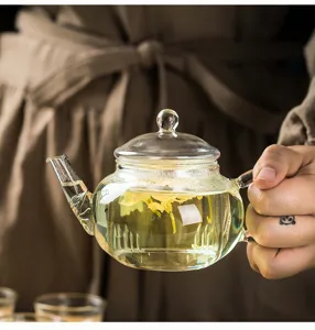 Primo piano del filtro della teiera in vetro trasparente per infusi resistenti.