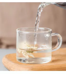 Clear glass tea cup detail scene with pouring water and flower infusion for tasting setup.