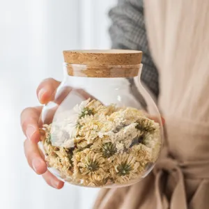 Contenitore Di Alimenti Sigillato In Vetro Borosilicato Trasparente Per Tè E Frutta Secca Moderno Minimalista Casa Cucina
