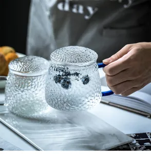 Japanese hammered glass cup with handle and lid, clear textured tea cup for home use.