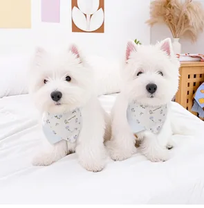 Pet dog bandana bib cute floral small puppy scarf neckerchief pet accessories blue