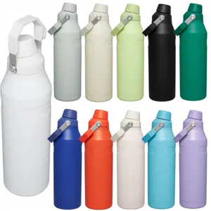 Stainless steel insulated sports water bottle with dual sip lid and carry handle in multiple colors