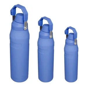 Stainless steel insulated sports water bottle with handle, large capacity travel tumbler.