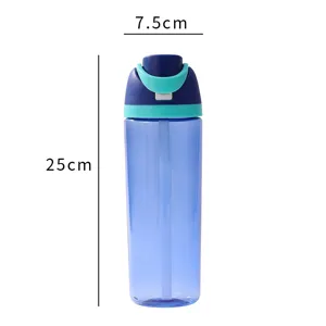 Cross-border sports water bottle large capacity plastic dual-drinking straw cup outdoor