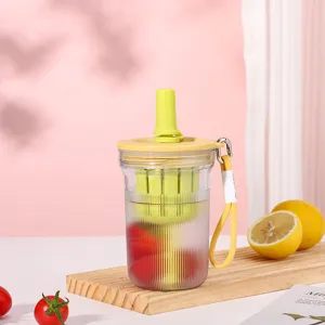 Portable plastic fruit tea cup with straw and infuser, ins style water bottle for students.