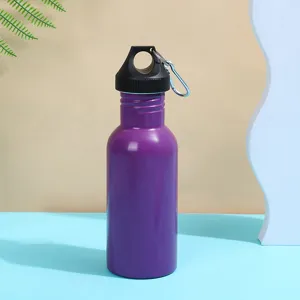 Portable metal sports water bottle with handle and carabiner clip for outdoor travel and hiking.