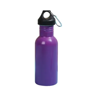 Portable purple metal sports water bottle with handle and carabiner for outdoor travel.
