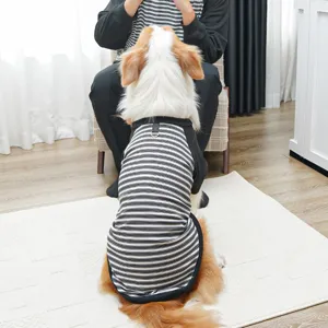 Detailed shot of a pet striped two-legged dog clothes in a cozy indoor scene, showing design.