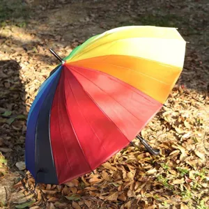 Ombrello arcobaleno a manico lungo con pannelli vivaci e impugnatura dritta per la pioggia.