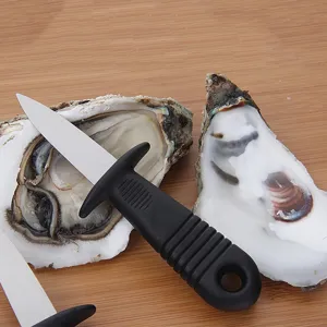 Professioneel oestermes van roestvrij staal met zwart handvat voor zeevruchten liefhebbers.
