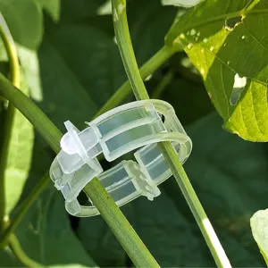 Transparent Plastic Plant Clips Support Clamps For Garden Vines Tomatoes Stems