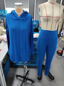 Blue ribbed knit hoodie and casual long pants set for women, comfortable autumn daily wear.