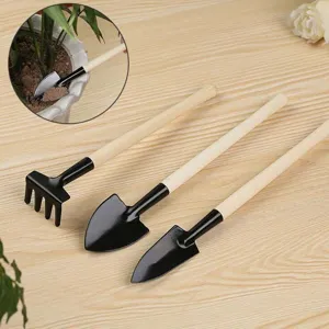 Mini tuingereedschap set met houten handvat en metalen kop voor vetplanten en potgrond.