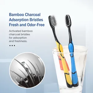 Brosse à Dents Souple au Charbon de Bambou pour Adultes Outil de Nettoyage Buccal Poignée Ergonomique Multicolore