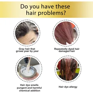 EELHOE Haarfarbe Detailszenen zeigen Haarprobleme wie graues Haar, Schäden und Allergien.