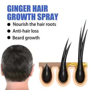 Ingwer Haarwuchsspray gegen Haarausfall und zur Haarpflege, nährt die Haarwurzeln im Detail.