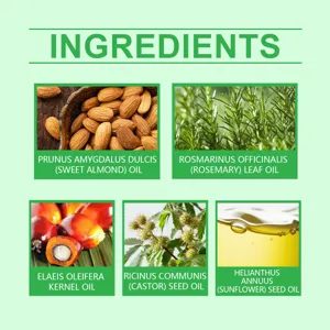 Infographie d'huiles vegetales naturelles montrant amande douce romarin et ricin.