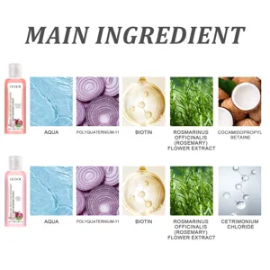 Vue détaillée présentant les ingrédients naturels clés et composants du set de soins capillaires.