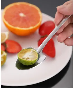 Stainless steel shovel spoon detail, creative fruit dessert spoon closeup view, nice tableware
