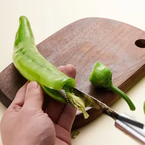 Stainless steel chili corer kitchen tool for easily removing pepper seeds and green pepper cores.