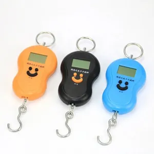 Portable Electronic Luggage Scale High Precision Digital Hanging Spring Scale Kitchen Travel Weighing Tool With Battery