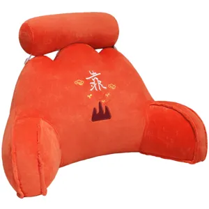 Cuscino Decorativo in Peluche Moderno Cuscino Schienale Comodo Cuscino di Supporto Lombare per Divano Ufficio Letto Casa