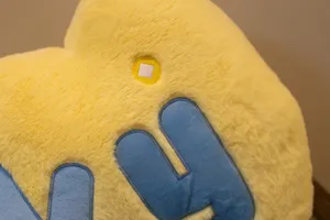 Soft yellow plush pillow detail shot showing blue letter applique and embroidered coin motif.