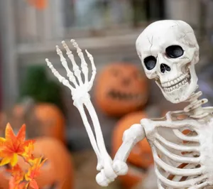 Detailaufnahme einer simulierten Halloween-Skelettdekoration mit realistischer Knochentextur