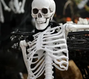 Detailaufnahme eines realistischen lebensgroßen Halloween-Skeletts mit Schädel-Dekoration