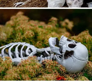 Detaillierte Nahaufnahme eines realistischen Halloween-Skelett-Schädels in grünem Moos