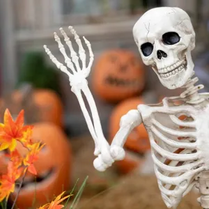 Realistisches lebensgroßes Skelett für Halloween-Horror-Party-Dekoration, Garten-Requisit