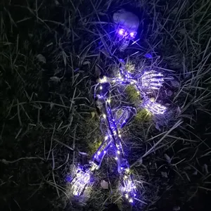 Detailaufnahme von Halloween Skelett Erdspießen mit violetten und warmweißen LEDs
