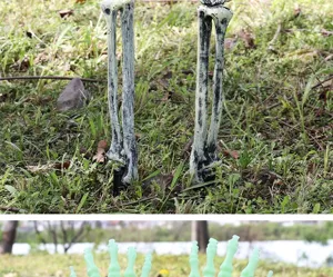 Detail van realistische Halloween skelet hand tuinstekers voor buitendecoratie in de tuin