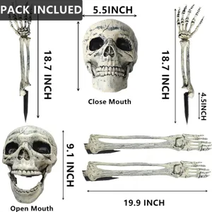 Detailed dimensions of 5-piece realistic Halloween skeleton set for garden decor