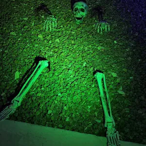 Realistic Halloween 5-piece skeleton stakes glowing under eerie green light in a yard