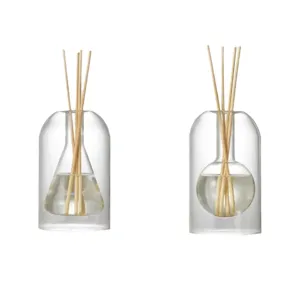 Difusor de Aroma de Vidrio Botella de Perfume de Doble Pared Minimalista con Varitas de Ratan