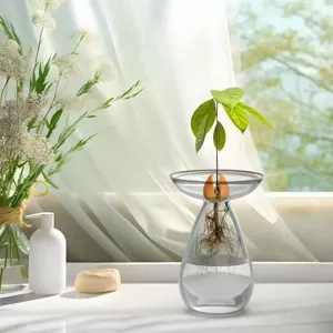 Vaso in vetro trasparente per avocado contenitore per piante idroponiche vaso lungo ovale per germinazione di semi vaso da fiori decorativo per la casa