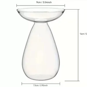 Vaso idroponico in vetro trasparente per la germinazione dei semi di avocado e acqua.